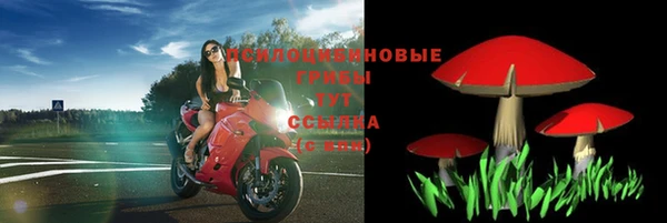 бошки Алзамай