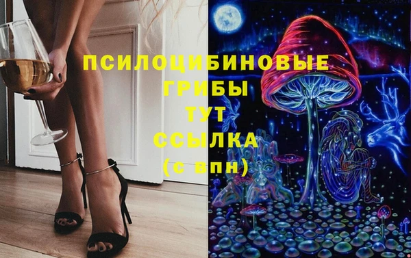 бошки Алзамай