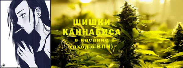 бошки Алзамай